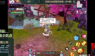 诛仙七脉会武张小凡为什么输给陆雪琪 诛仙天下会武怎么做